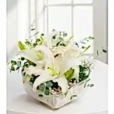 Beyaz Düşler Lilyum arajmanı