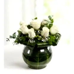 Beyazın Zarafeti 7 Beyaz Güller