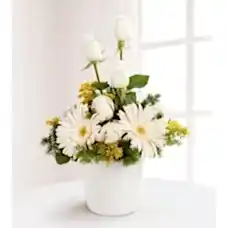 Aşksın Sen Beyaz Gerbera ve Beyaz Gül