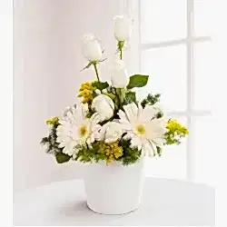 Aşksın Sen Beyaz Gerbera ve Beyaz Gül