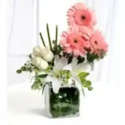 Zarafetin Büyüsü Güller ve Lilyumlar